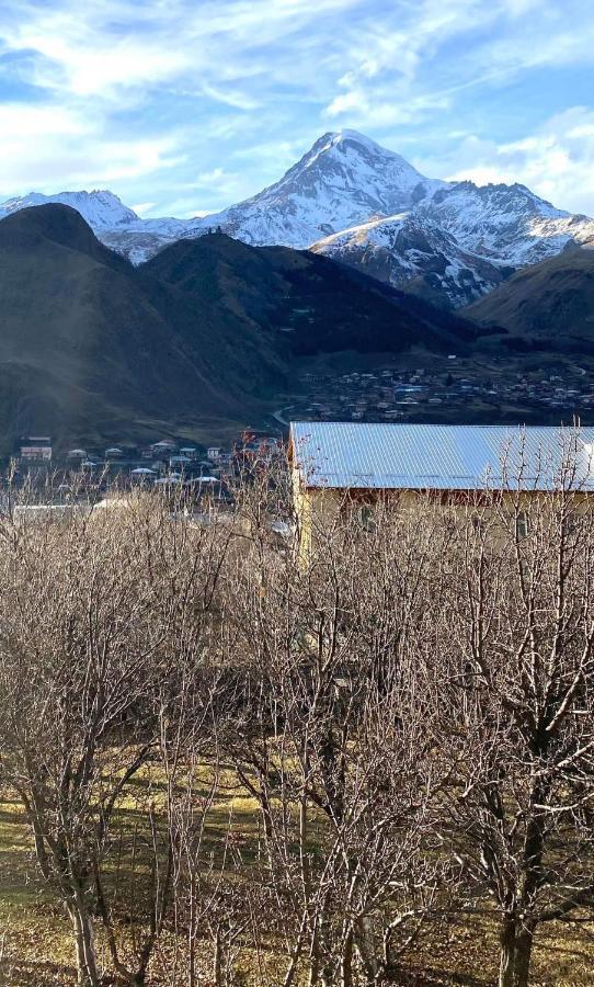 Golden Star Kazbegi 호텔 외부 사진